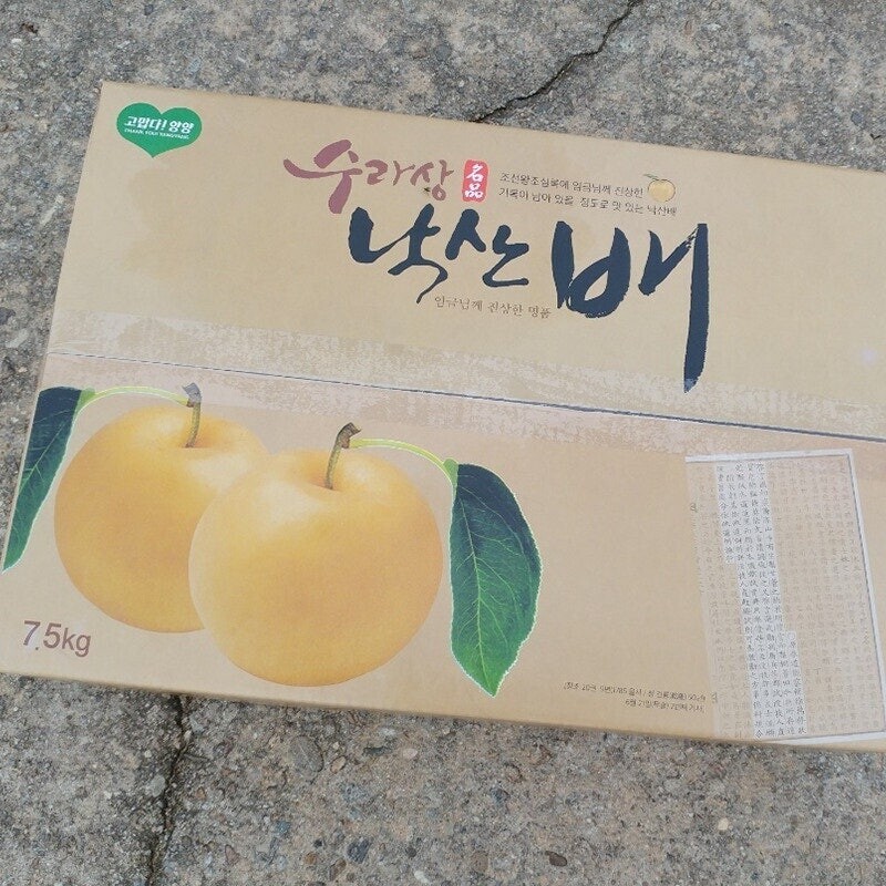 강원더몰,맞이터농원 햇배 선물세트 (12~13과)