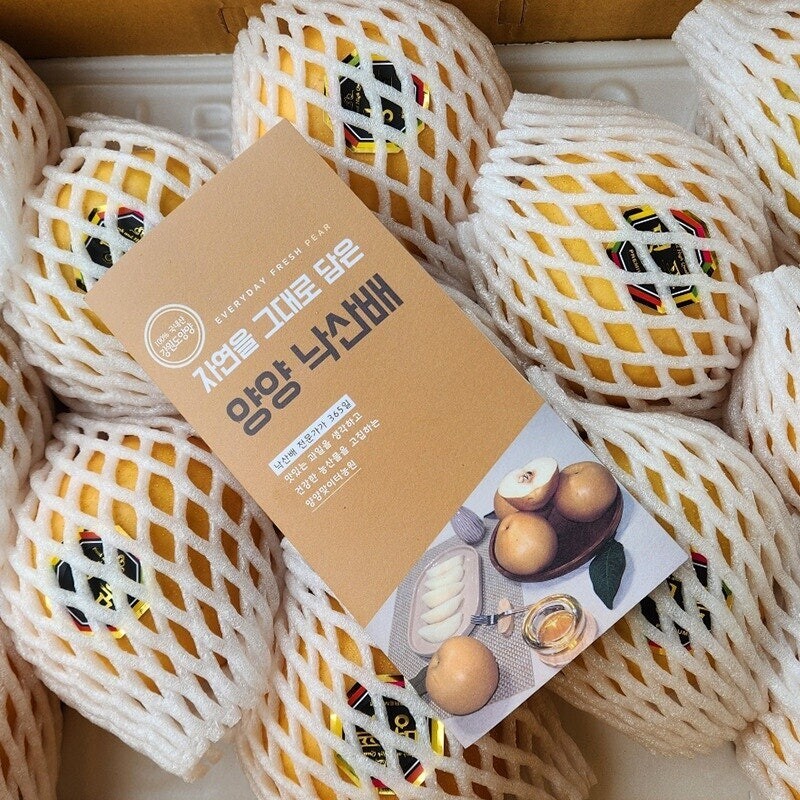 맞이터농원 양양낙산배감천배 (11과)